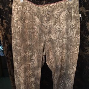 COPY - Lane Bryant pants